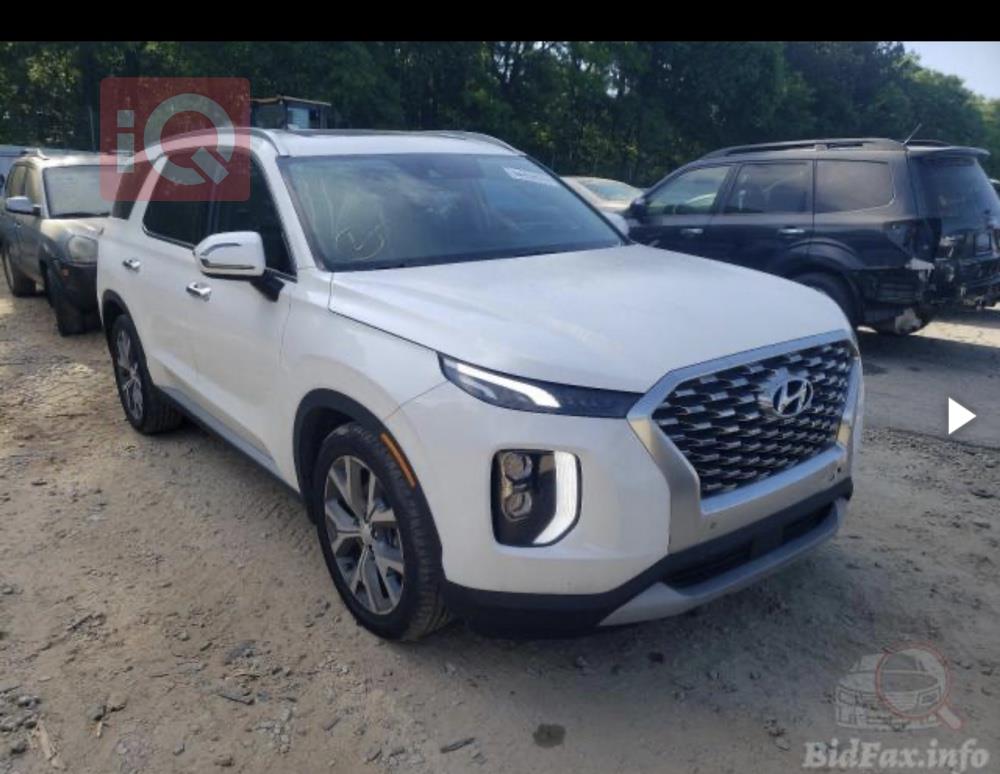 هیۆندای پالیسەید